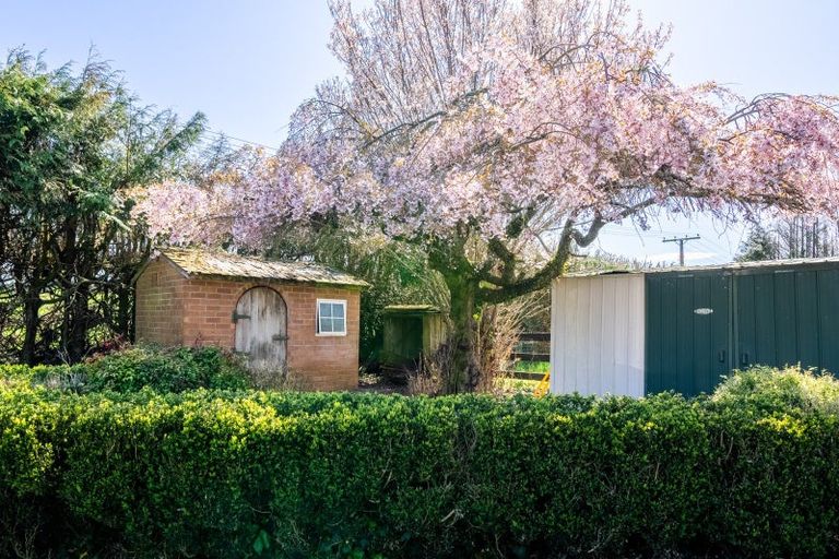 Photo of property in 955 Maungatautari Road, Maungatautari, Cambridge, 3494