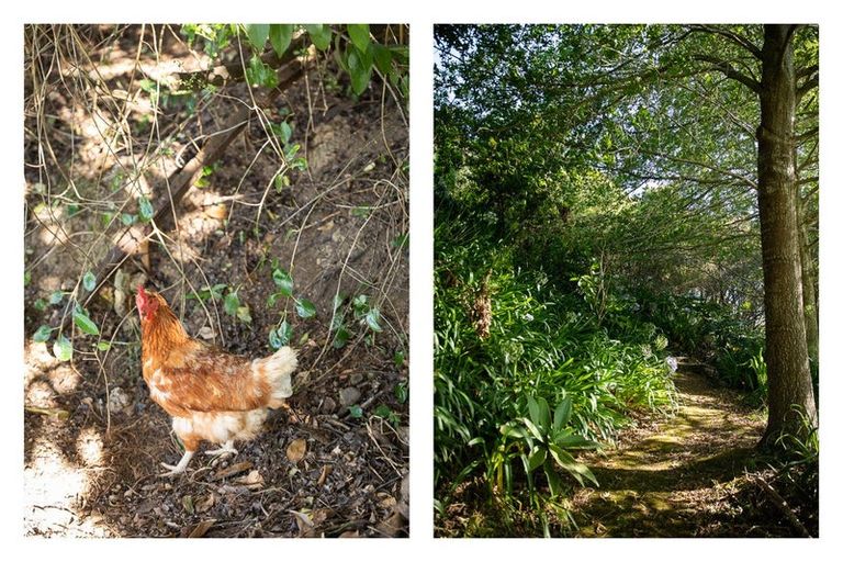 Photo of property in 116 Alexander Close, Thames, 3500