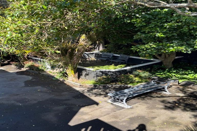 Photo of property in 44 Kings Crescent, Hutt Central, Lower Hutt, 5010