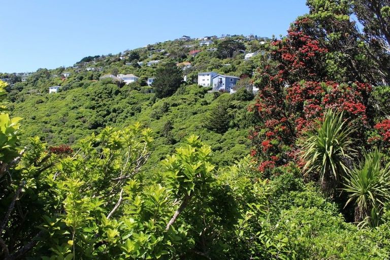 Photo of property in 8 Rodney Street, Northland, Wellington, 6012