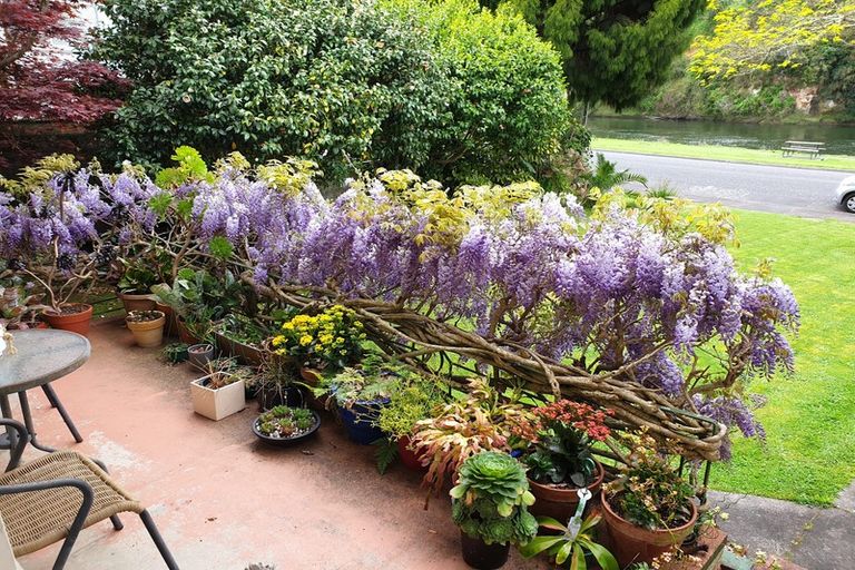 Photo of property in 7 Ann Street, Beerescourt, Hamilton, 3200