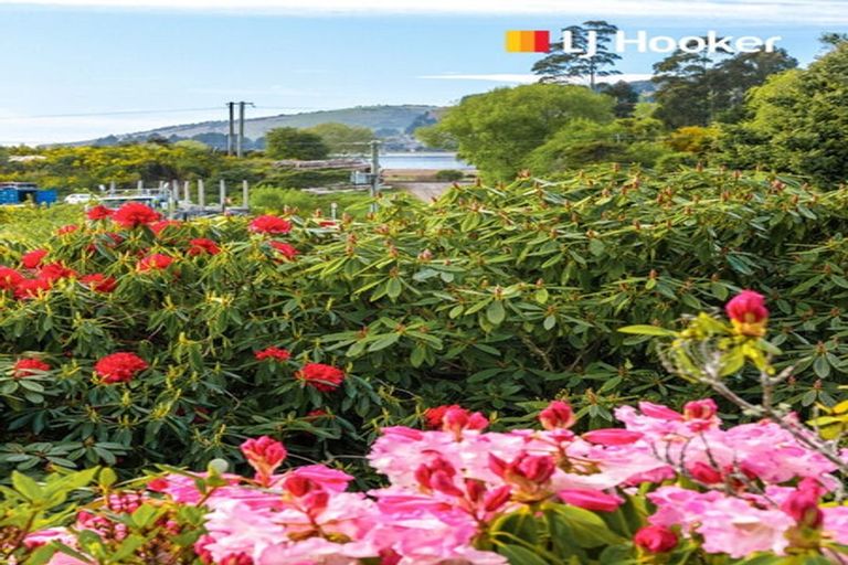 Photo of property in 287 Waikouaiti-waitati Road, Evansdale, Waikouaiti, 9471