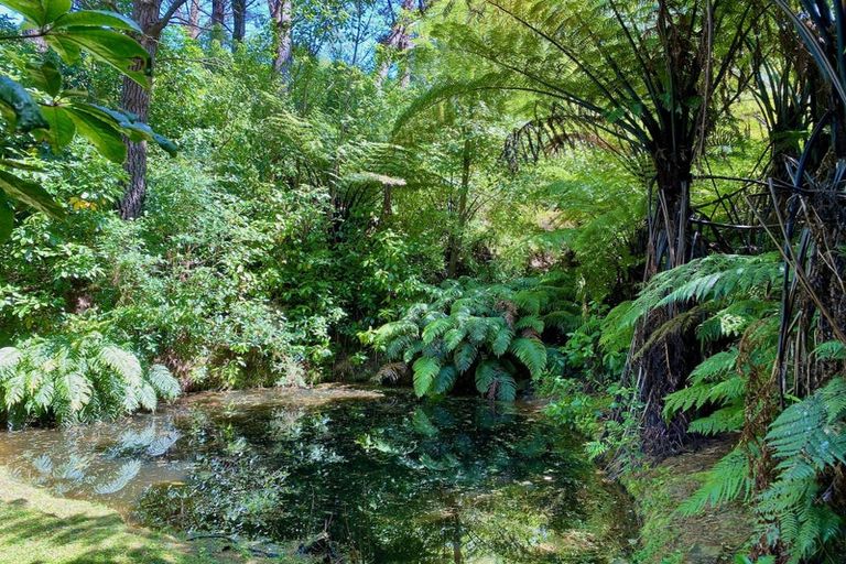 Photo of property in 295 Ngahere Park Road, Turitea, Palmerston North, 4472