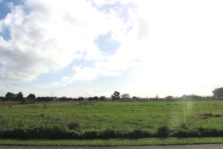 Photo of property in 229 Tremaine Avenue, Highbury, Palmerston North, 4412