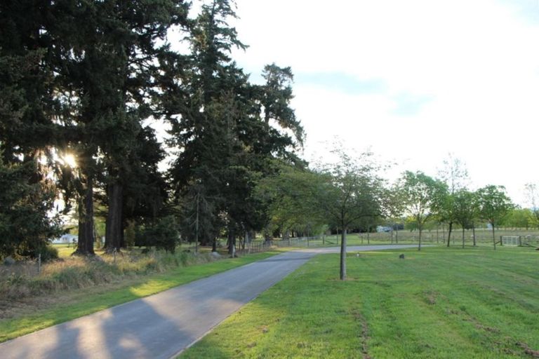 Photo of property in 24 Meadowlinks Lane, Pleasant Point, Timaru, 7974