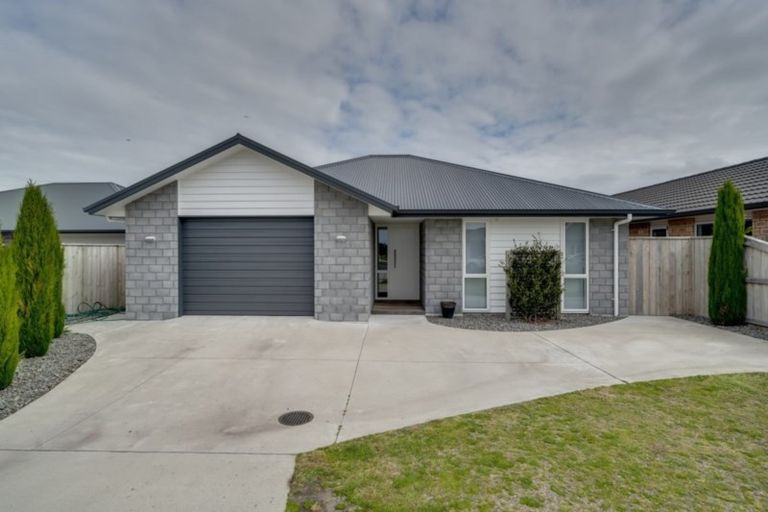 Photo of property in 19 Ponga Place, Papamoa Beach, Papamoa, 3118