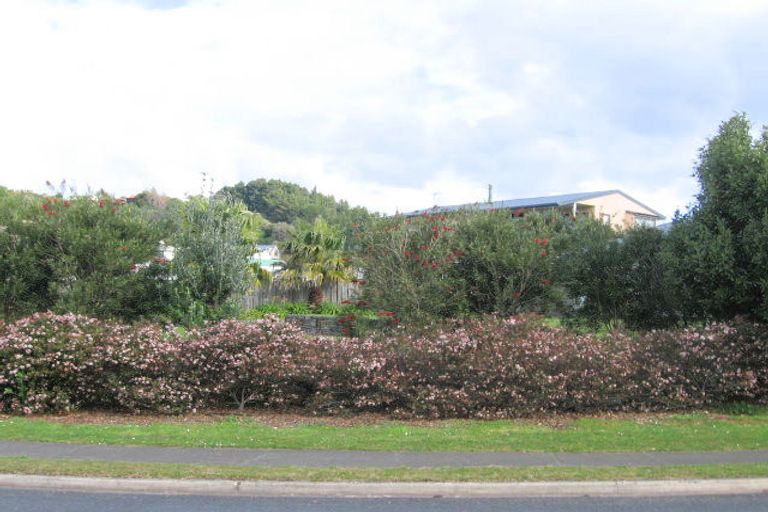 Photo of property in 214 Onemana Drive, Onemana, Whangamata, 3691