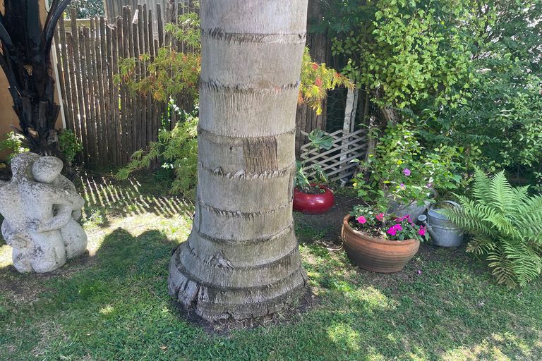 Photo of property in 11 Nixon Street, Whanganui East, Whanganui, 4500