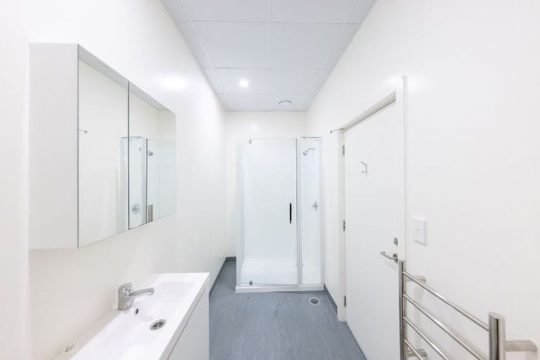 Photo of property in Te Kainga, 195 Willis Street, Te Aro, Wellington, 6011