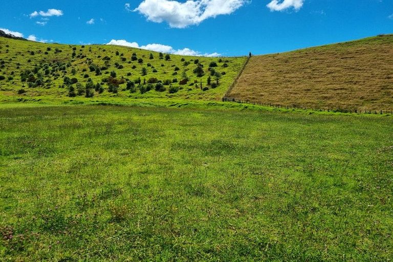 Photo of property in 101 Skippers Road, Opito Bay, Whitianga, 3592