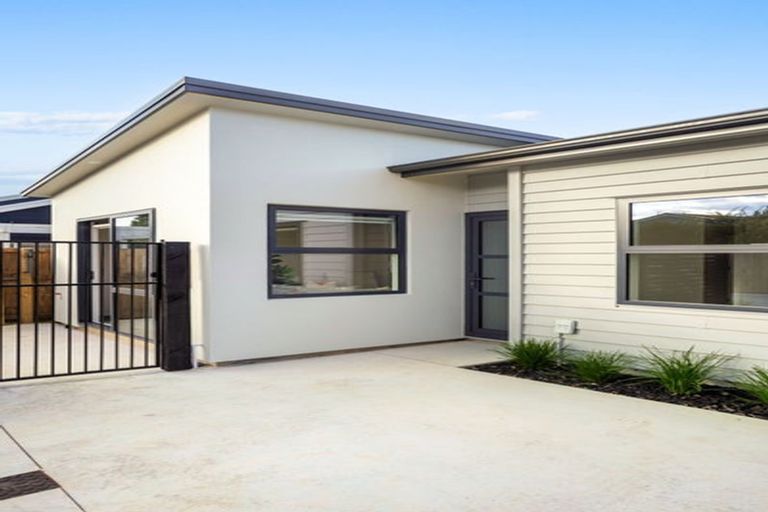 Photo of property in 123a Endeavour Avenue, Flagstaff, Hamilton, 3210