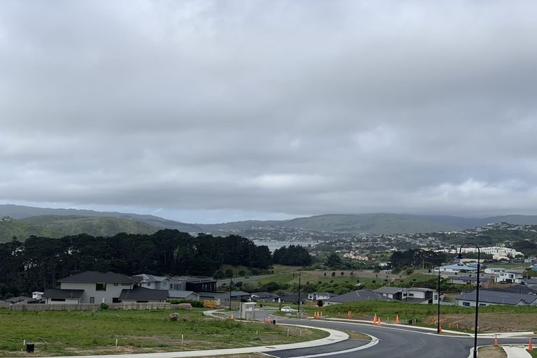 Photo of property in 66 Queen Charlotte Drive, Aotea, Porirua, 5024