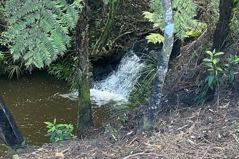 Photo of property in 51 Screen Road, Coatesville, Albany, 0793