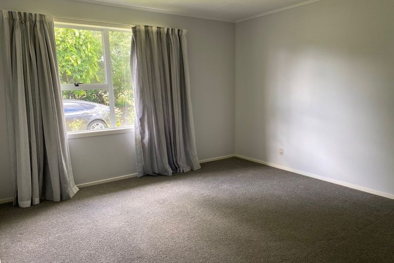 Photo of property in 206 Hoeka Road, Matangi, Hamilton, 3284