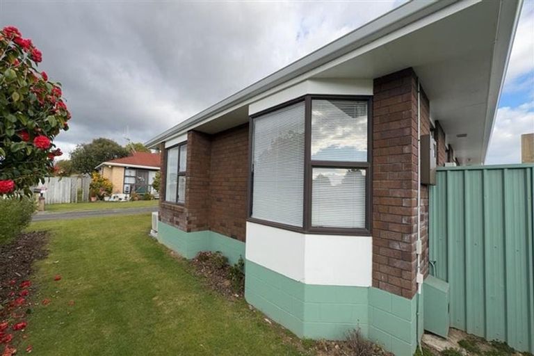 Photo of property in 17 Douglas Street, Levin, 5510