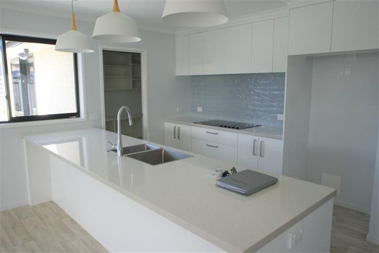 Photo of property in 239 Taylor Pass Road, Witherlea, Blenheim, 7201