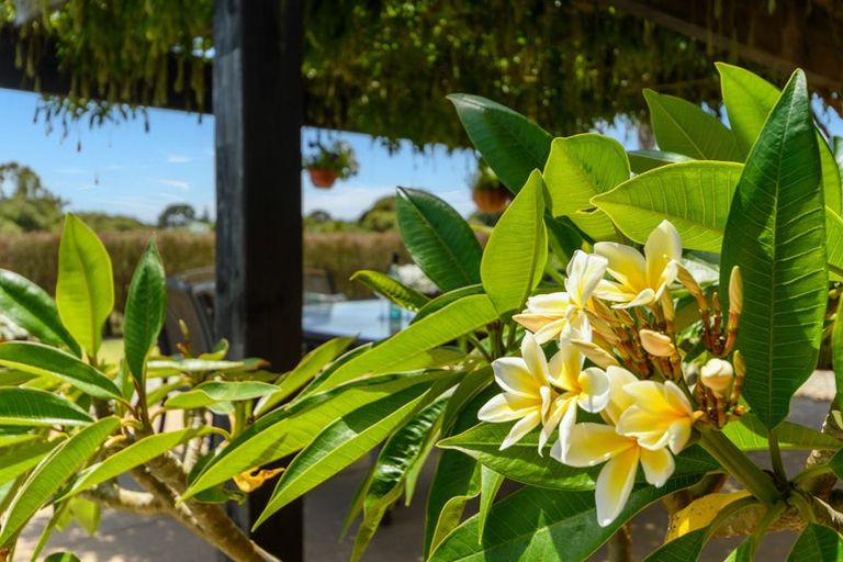 Photo of property in 46 Carrington Drive, Papamoa Beach, Papamoa, 3118