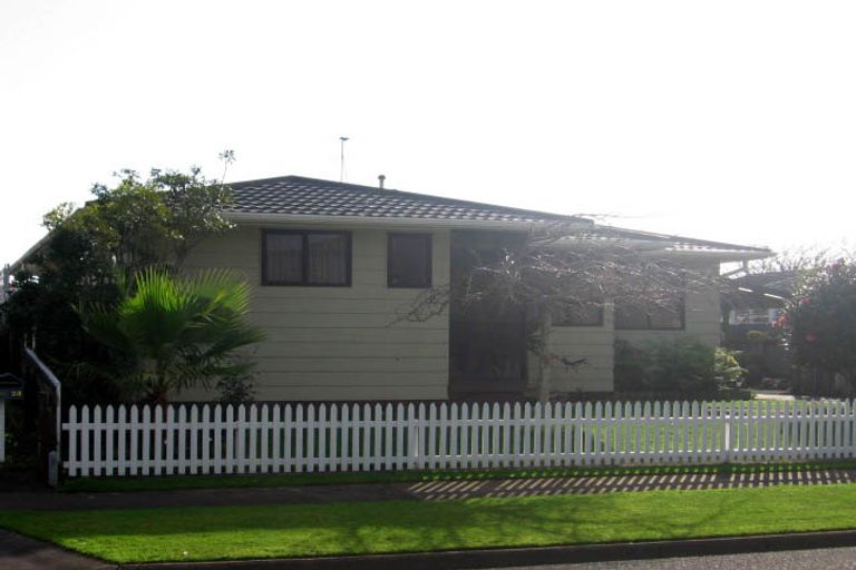 Photo of property in 20 Wyndham Street, Awapuni, Palmerston North, 4412