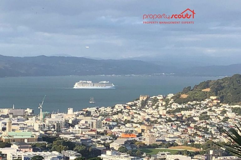 Photo of property in 43 Connaught Terrace, Brooklyn, Wellington, 6021