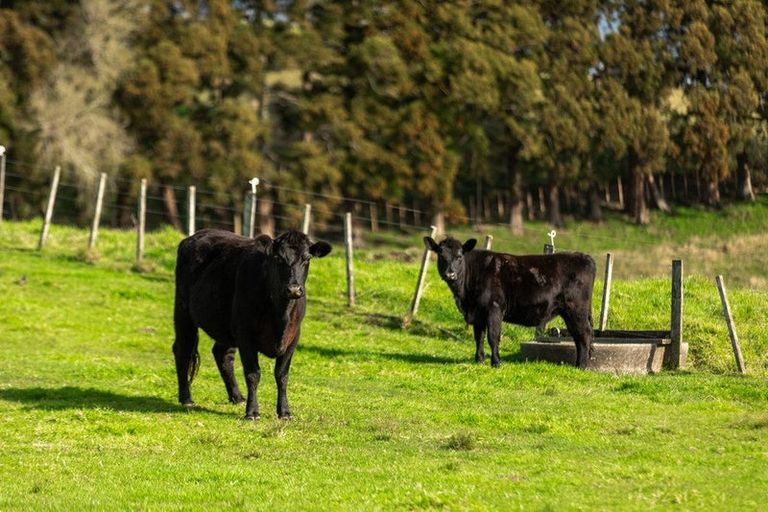 Photo of property in 40a Brooklyn Road, Carterton, 5713