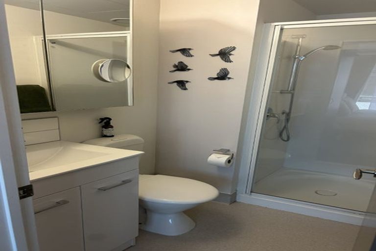 Photo of property in Dual Apartments, 108/142 Vivian Street, Te Aro, Wellington, 6011