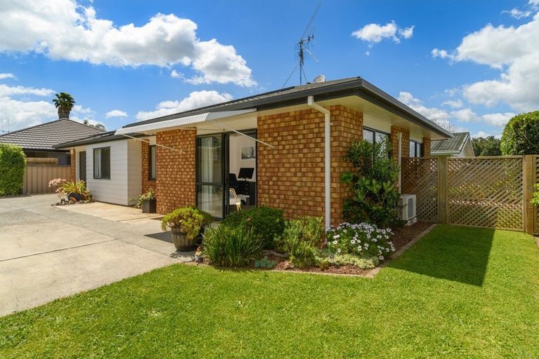 Photo of property in 256 Waihi Road, Judea, Tauranga, 3110