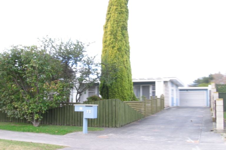 Photo of property in 73 Freyberg Avenue, Tamatea, Napier, 4112