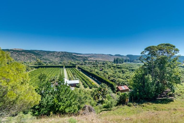 Photo of property in 117 Eskdale Drive, Bay View, Napier, 4182