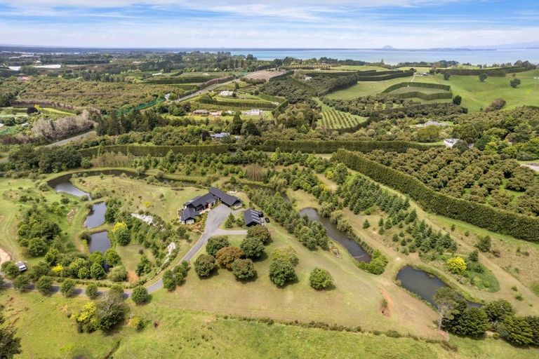 Photo of property in 94b Kauri Point Road, Tahawai, 3170