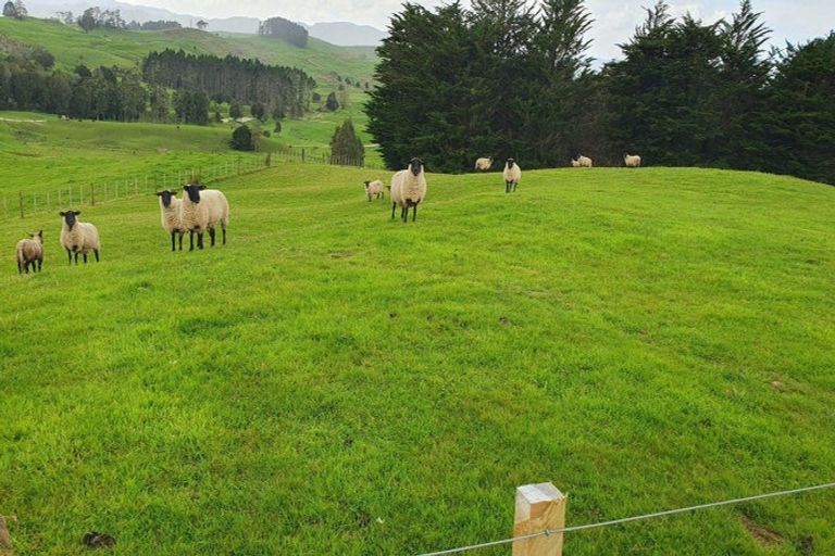 Photo of property in 4 Kendall Road, Maungakaramea, Whangarei, 0178