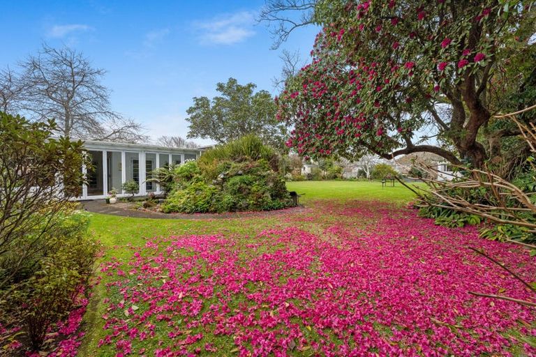 Photo of property in 174 Brooklands Road, Vogeltown, New Plymouth, 4310