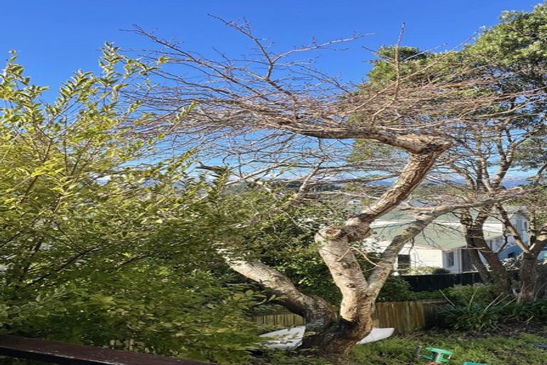 Photo of property in 52a Truscott Avenue, Johnsonville, Wellington, 6037