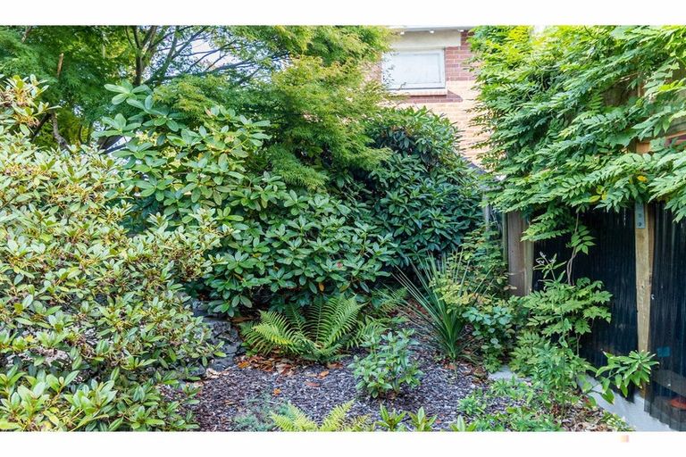 Photo of property in 62 Le Cren Street, Seaview, Timaru, 7910