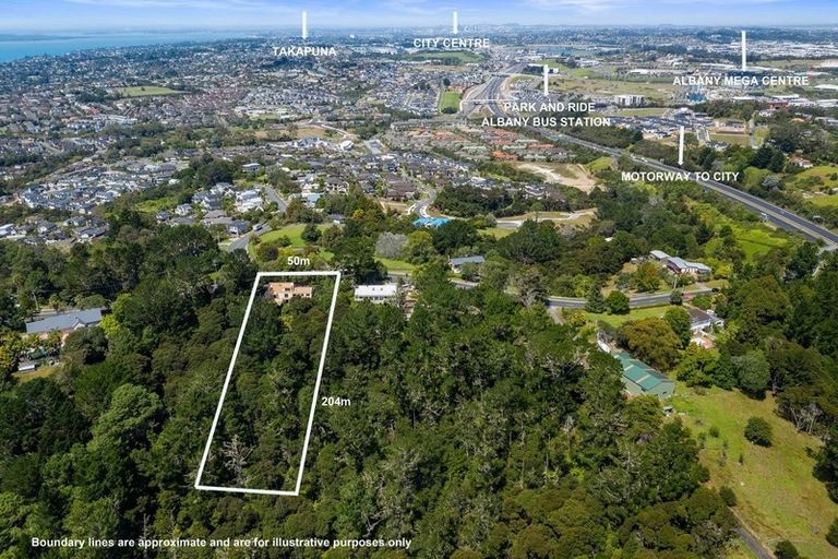 Photo of property in 144 Lonely Track Road, Redvale, Auckland, 0632