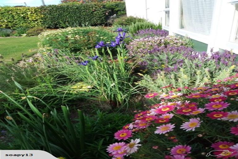 Photo of property in 9 Clay Street, Motueka, 7120