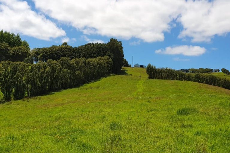 Photo of property in 237 Hewlett Road, Mata, Whangarei, 0171