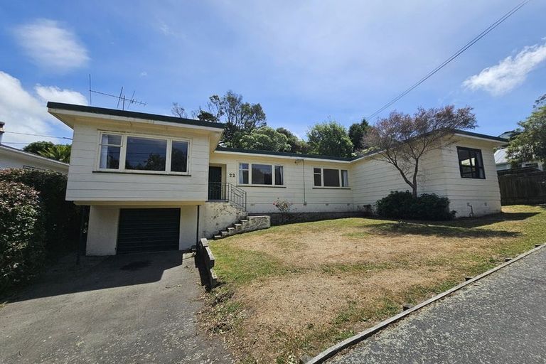 Photo of property in 22 Liardet Street, Vogeltown, Wellington, 6021