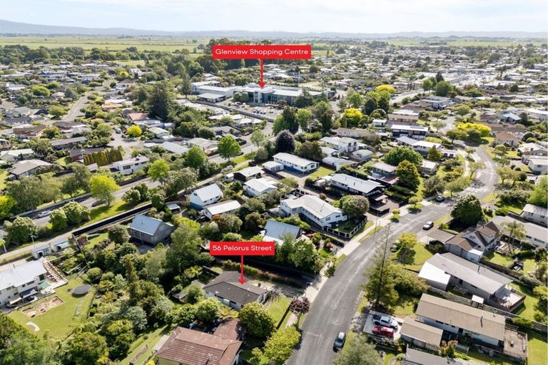 Photo of property in 56 Pelorus Street, Glenview, Hamilton, 3206