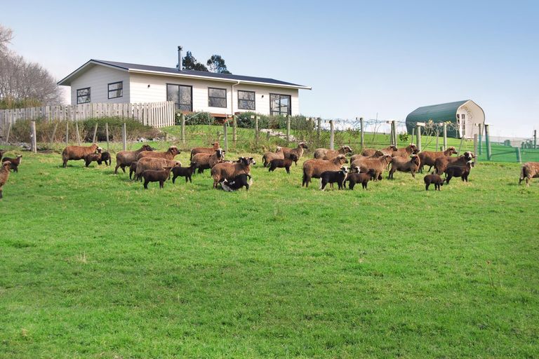 Photo of property in 56 Wattle Lane, Kaiwaka, 0573