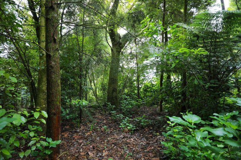 Photo of property in 285 Spencer Road, Lake Tarawera, Rotorua, 3076