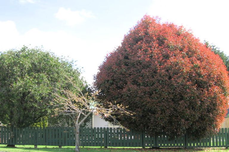 Photo of property in 14 Bruce Street, Ngongotaha, Rotorua, 3010