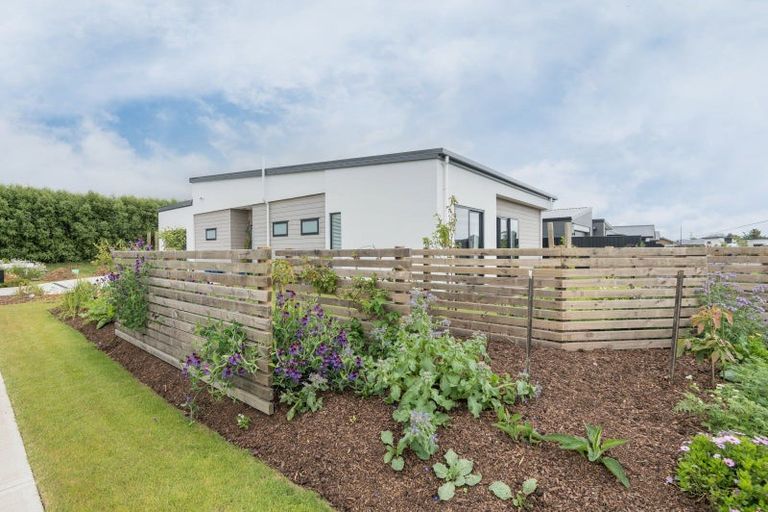 Photo of property in 16 Tana Pukekohatu Avenue, Motueka, 7120