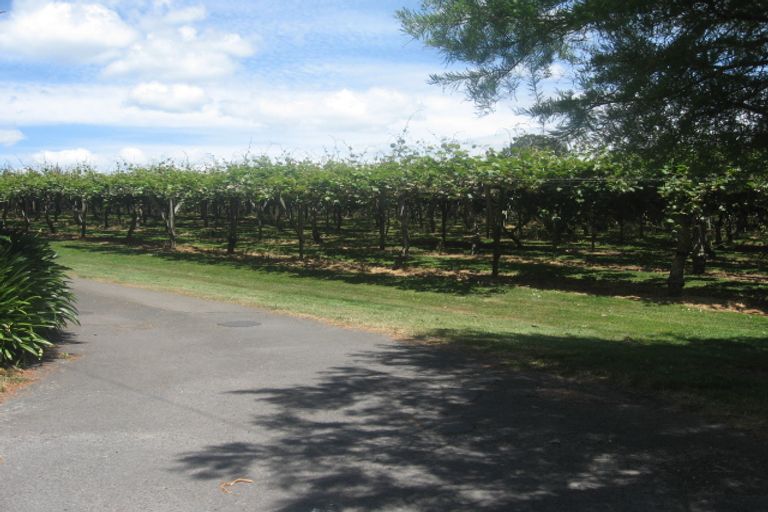 Photo of property in 25 Bayly Road, Te Puke, 3183