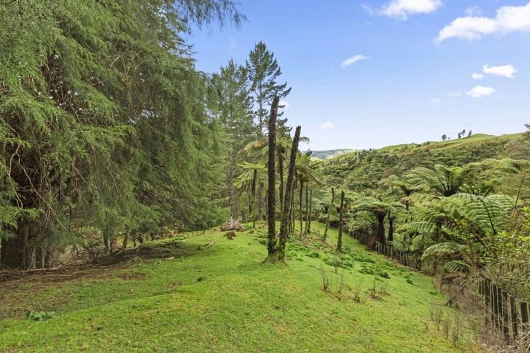 Photo of property in 472 Wilton Collieries Road, Glen Massey, Ngaruawahia, 3794
