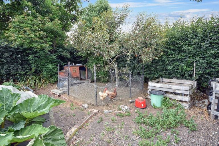 Photo of property in 38 Craig Street, Palmerston, 9430