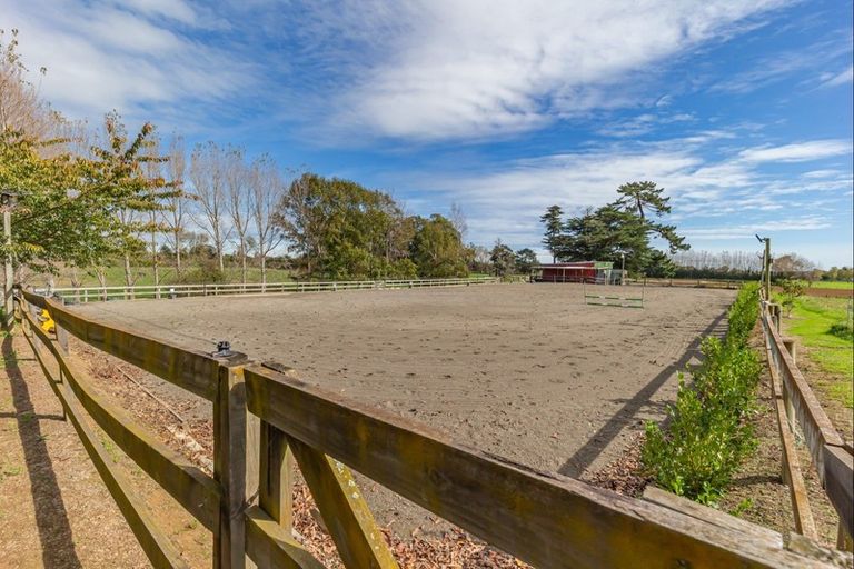 Photo of property in 73 Wakefield Road, Levin, 5571