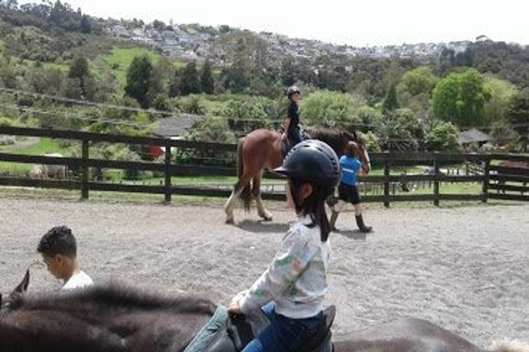 Photo of property in 32 Misty Valley Drive, Henderson, Auckland, 0612