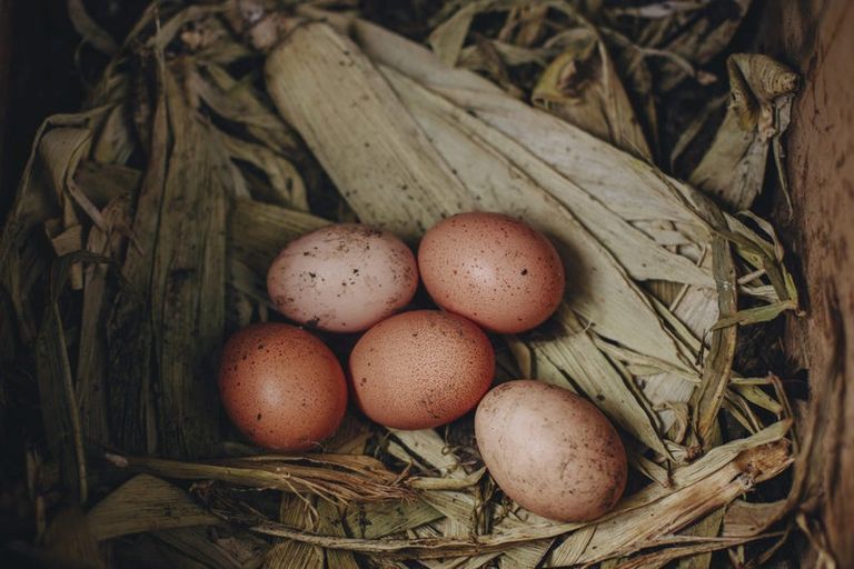 Photo of property in 17 Pekanga Drive, Fox Glacier, 7886