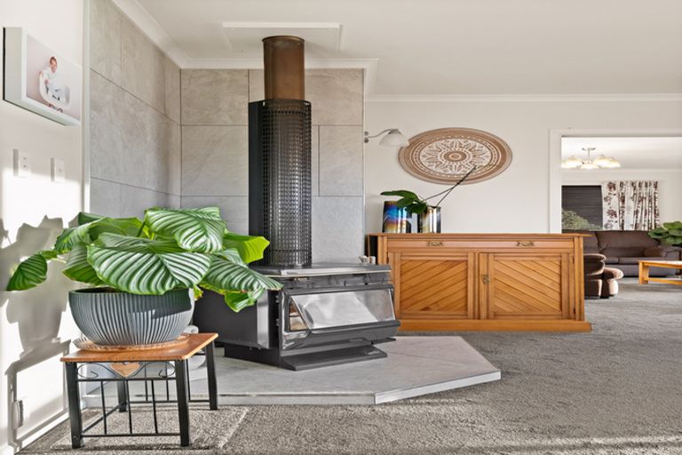 Photo of property in 8 Connell Street, Waverley, Dunedin, 9013
