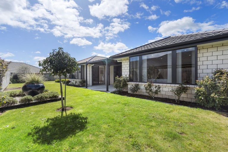 Photo of property in 31 Banks Road, Matamata, 3400